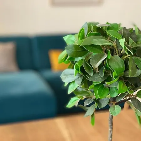 Le Cocon De Jeanne Appartement *